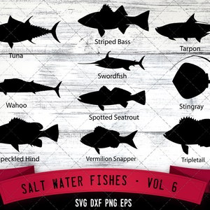 May include: Black silhouette illustrations of various saltwater fish, including tuna, striped bass, tarpon, swordfish, wahoo, stingray, spotted seatrout, speckled hind, vermilion snapper, and tripletail. The image includes the text "SALT WATER FISHES - VOL 6".