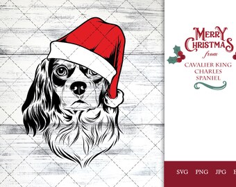 Cavalier King Charles Spaniel dog svg portrait clipart vector graphic art Xmas hat Christmas dog Cricut cut file cuttable design