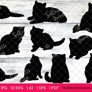 Exotic Shorthair Cat Svg, cat monogram, cat svg file, clipart vector, cat svg bundle, cat cut files, cat silhouette, cat cricut, eps, png