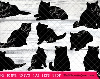 Exotic Shorthair Cat Svg, cat monogram, cat svg file, clipart vector, cat svg bundle, cat cut files, cat silhouette, cat cricut, eps, png