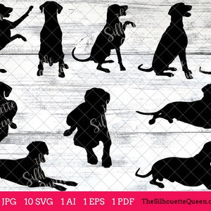 Doberman dog svg, dog svg, dog monogram svg, dog svg files cricut, dog svg cut files, dog svg image, dog svg design, svg bundle, eps