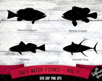Salt Water Fishes Svg V7 - Yellowfin Grouper, Warsaw Grouper, Weakfish, Yellowfin Tuna
