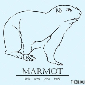 以下が含まれることがあります： 後ろ足で座っているマーモットの白黒の線画です。マーモットは右を向いていて、長い尻尾があります。画像は薄い青色の背景です。画像の下に「MARMOT」というテキストがあり、その下に「EPS SVG JPG PNG」というテキストがあります。