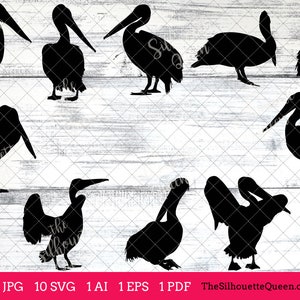Pelican Bird SVG Files Bundle, Flying Bird SVG, Sitting Bird SVG, Silhouette Studio, Cricut Design Space, Svg, Png, Eps, Pdf, Vector Design