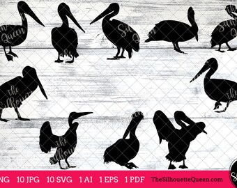 Pelican Bird in Flight Two Pk 5 Vinyl Decals Vehicle Window Any
