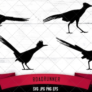 Roadrunner svg, uccelli svg, sud-ovest svg, vettore del deserto, fast runner svg, roadrunner silhouette,road runner bird, file tagliati per circuito
