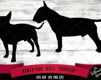 Miniature Bull Terrier SVG Files, Dog Svg, Silhouette File, Cricut File, Cut File, Scan n Cut, Vector, Dog Love, Vinyl File, eps, dxf, png