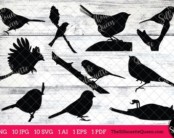 Chickadee Bird SVG File Bundle, Flying Bird SVG, Sitting Bird SVG, Silhouette Studio, Cricut Design Space, Svg, Png, Eps, Pdf, Vector Design