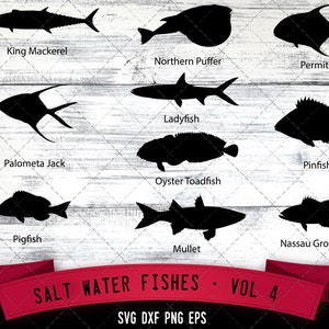 May include: A digital download of 10 black and white silhouette images of saltwater fish, including a king mackerel, northern puffer, permit, ladyfish, palometa jack, pinfish, oyster toadfish, pigfish, mullet, and Nassau grouper. The images are labeled with the name of each fish. The text "SALT WATER FISHES - VOL 4" and "SVG DXF PNG EPS" are at the bottom of the image.