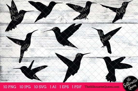Download Layered Hummingbird Svg Design - Layered SVG Cut File ...