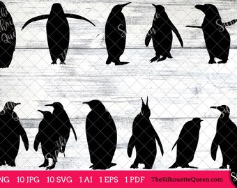 Penguin Bird SVG Files Bundle, Flying Bird SVG, Sitting Bird SVG, Silhouette Studio, Cricut Design Space, Svg, Png, Eps, Pdf, Vector Design