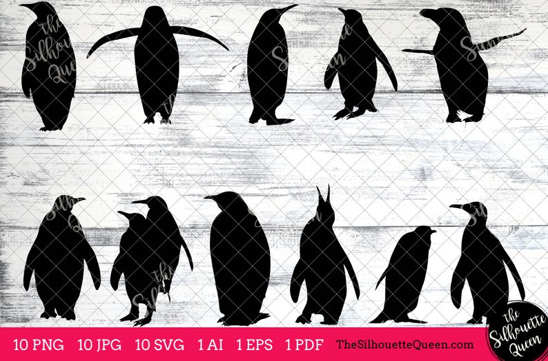 Penguin Bird SVG Files Bundle, Flying Bird SVG, Sitting Bird SVG, Silhouette Studio, Cricut Design Space, Svg, Png, Eps, Pdf, Vector Design image 1