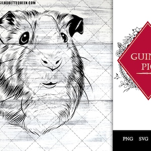 Guinea Pig svg, animal svg, fleece svg, guinea pig hammock, guinea pig clothes svg, cage svg, farm svg, treats svg, cut files for circuit