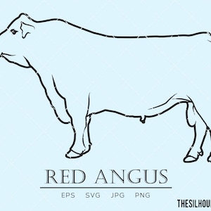 Red Angus cow, Aberdeen Angus cow, Bos taurus, cattle svg, hybrid cow svg, mammal svg, dairy svg, beef svg, cut files for circuit