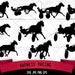 see more listings in the Chiens Chats Chevaux section