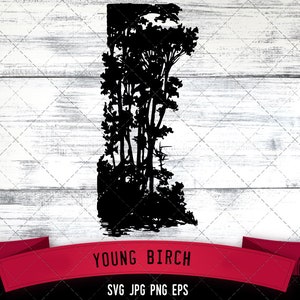 Birch Bark (vinyl) –