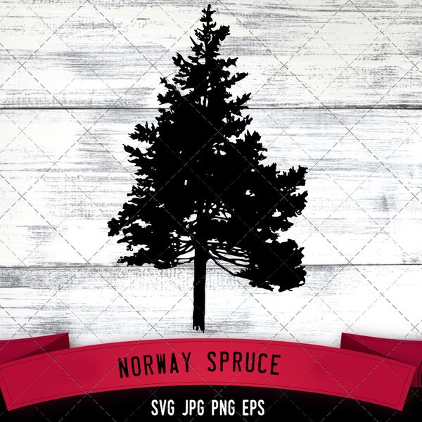 Norway Spruce SVG -Vector Art Commercial & Personal Use- Cricut,Silhouette,Cameo,Vinyl Cut
