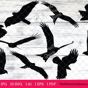 Kite Bird SVG Files Bundle, Flying Bird SVG, SVG Oiseau assis, Silhouette Studio, Cricut Design Space, Svg, Png, Eps, Pdf, Vector Design