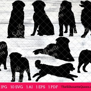 Burnese Mountain dog svg, dog svg, dog monogram svg, dog svg files cricut, dog svg cut files, dog svg image, dog svg design, svg bundle, eps