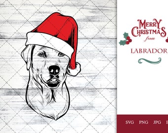 Labrador dog svg portrait clipart vector graphic art Xmas hat Christmas dog Cricut cut file cuttable design