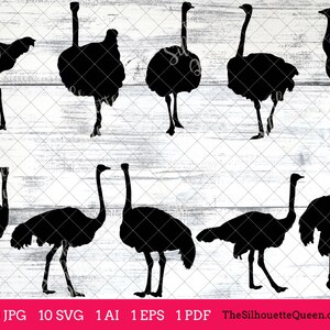 Ostrich Bird SVG Files Bundle, Flying Bird SVG, Sitting Bird SVG, Silhouette Studio, Cricut Design Space, Svg, Png, Eps, Pdf, Vector Design