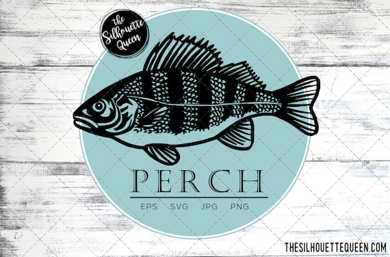 Perch Fish, SVG Design Files, Hand Drawn Fishing Vector Clipart