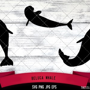 Beluga Whale SVG,  Silhouette, Logo, Beluga Whale  SVG Cut Files for Cricut Design, Beluga Whale  Digital Commercial Clipart