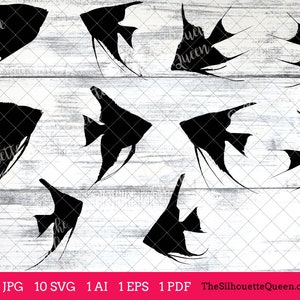 Pet Fish SVG , Angel Fish SVG, Angel Fish Cut File for Cricut Design, Silhouette Studio, Fish Lover Clipart, Aquarist Svg, Png, Eps