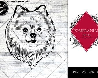 Pomeranian, dog breed, pet dog, dog lover, dog mom dad, dog paw svg, vector, svg, hand drawn, cut files for circuit