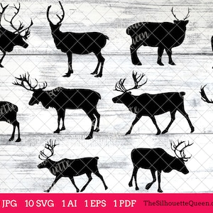 Reindeer svg, Reindeer monogram, Reindeer svg file,cuttable, Reindeer svg bundle, cut files, silhouette studio, cricut files, vector eps