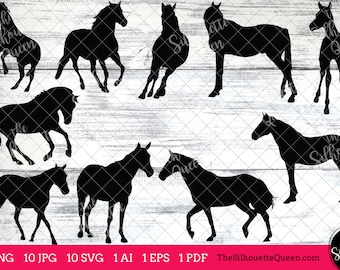 Horse svg, Horse monogram, Horse svg file,cuttable, Horse svg bundle, cut files, silhouette studio, cricut files, vector eps, jpg