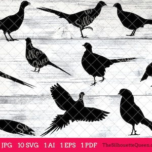 May include: A set of ten black silhouette images of pheasants in various poses. The images are set against a white woodgrain background.