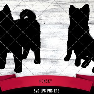 May include: Two black silhouette images of a Pomsky dog, one standing and one sitting. The images are on a white wood background with the text "POMSKY" and "SVG JPG PNG EPS" below.