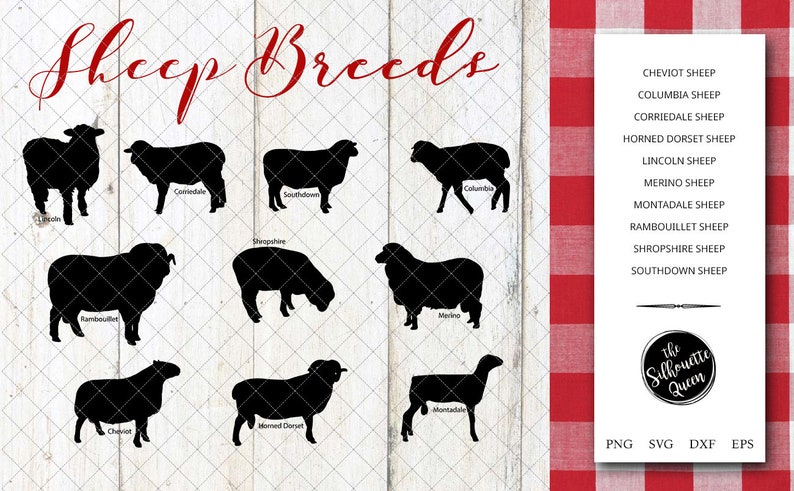 Download Sheep Breeds Silhouette Vector svg file sheep svg cut file ...