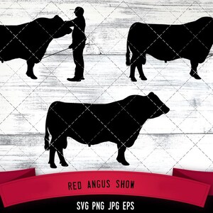 May include: Silhouettes of three red angus cattle, two with people holding leads, and one standing alone. The text "RED ANGUS SHOW" and "SVG PNG JPG EPS" are below the images.