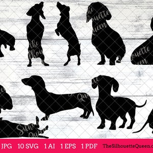 Dachshund dog svg, dog svg, dog monogram svg, dog svg files cricut, dog svg cut files, dog svg image, dog svg design, svg bundle, eps