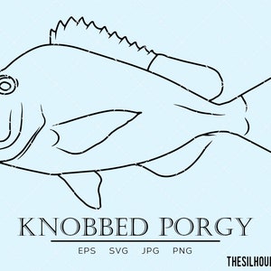 Può includere: Illustrazione a linea di un pesce porgy con nodi. Il pesce è rivolto a sinistra e ha un occhio grande. L'illustrazione è in bianco e nero su uno sfondo blu chiaro. Il testo "KNOBBED PORGY" è sotto il pesce. Il testo "EPS SVG JPG PNG" è sotto il testo "KNOBBED PORGY".
