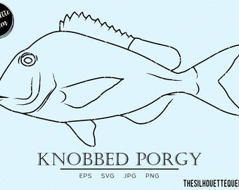 Knobbed Porgy svg, salt water fish svg,  marine svg, aquatic svg, fish face svg, fish tail svg, vector, cut files for circuit