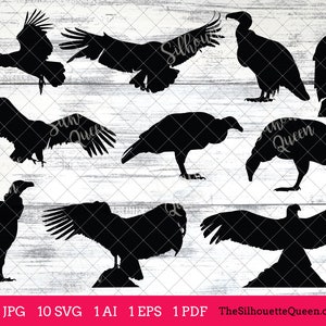 Condor Bird SVG Files Bundle, Flying Bird SVG, Sitting Bird SVG, Silhouette Studio, Cricut Design Space, Svg, Png, Eps, Pdf, Vector Design