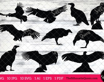 Condor Bird SVG Files Bundle, Flying Bird SVG, Sitting Bird SVG, Silhouette Studio, Cricut Design Space, Svg, Png, Eps, Pdf, Vector Design