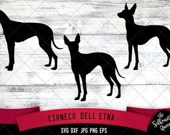 Cirneco dell Etna SVG Files, Dog Svg, Silhouette File, Cricut File, Cut File, Scan n Cut, Vector, Dog Love, Vinyl File, eps, dxf, png