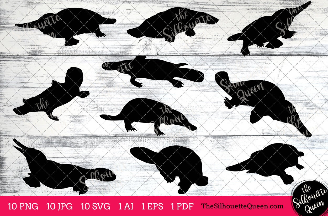 Platypus svg Platypus monogram Platypus svg filecuttable Etsy 日本