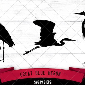 Grote reiger svg, blauwe reiger svg, vogels svg, wattenvogel svg, meer leven svg, blauwe kraan svg, wilde svg, silhouet svg, gesneden dossiers voor kring
