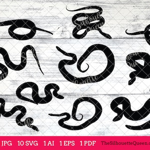 Boa Snake svg, Boa monogram, Boa svg file,cuttable, Boa svg bundle, cut files, silhouette, cricut files, vector eps, jpg