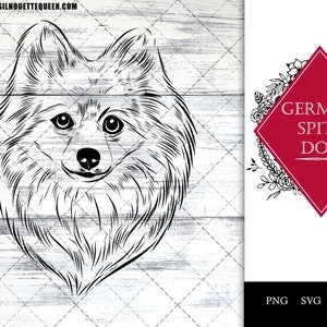 German Spitz, dog breed, pet dog, dog lover, dog mom dad, dog paw svg, vector, svg, hand drawn, cut files for circuit