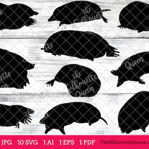 Mole svg, Mole monogram, Mole svg file,cuttable, Mole svg bundle, cut files, silhouette studio, cricut files, vector eps, jpg