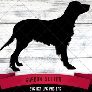 Pode incluir: Silhueta preta de um cão Gordon Setter em um fundo de grão de madeira branco e cinza. Uma faixa vermelha na parte inferior diz "Gordon Setter" com informações do tipo de arquivo. O logotipo Silhouette Queen está no canto inferior direito.