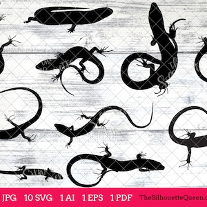 Skink Lizard svg, Skink monogram, Skink svg file, Skink cuttable, Skink svg bundle, cut files, silhouette, cricut files, vector eps, jpg