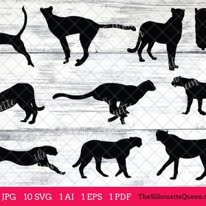 Cheetah svg, Cheetah monogram, Cheetah svg file,cuttable, Cheetah svg bundle, cut files, silhouette studio, cricut files, vector eps, jpg
