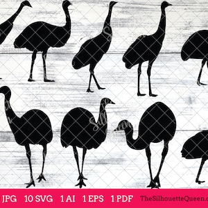 Emu Bird SVG Files Bundle, Flying Bird SVG, Sitting Bird SVG, Silhouette Studio, Cricut Design Space, Svg, Png, Eps, Pdf, Vector Design